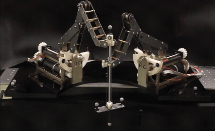 Research GIF 5